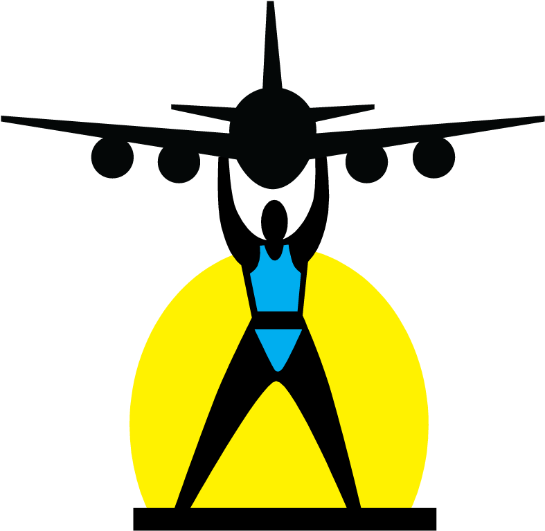 Lift An Aircraft Logo - Icono De Avion Volando (800x800)