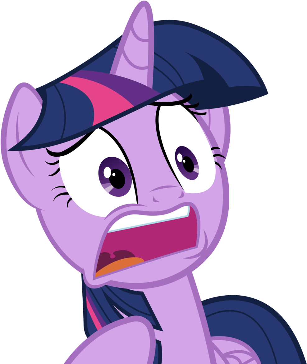 What By Joemasterpencil - Twilight Sparkle Wtf (1024x1195)