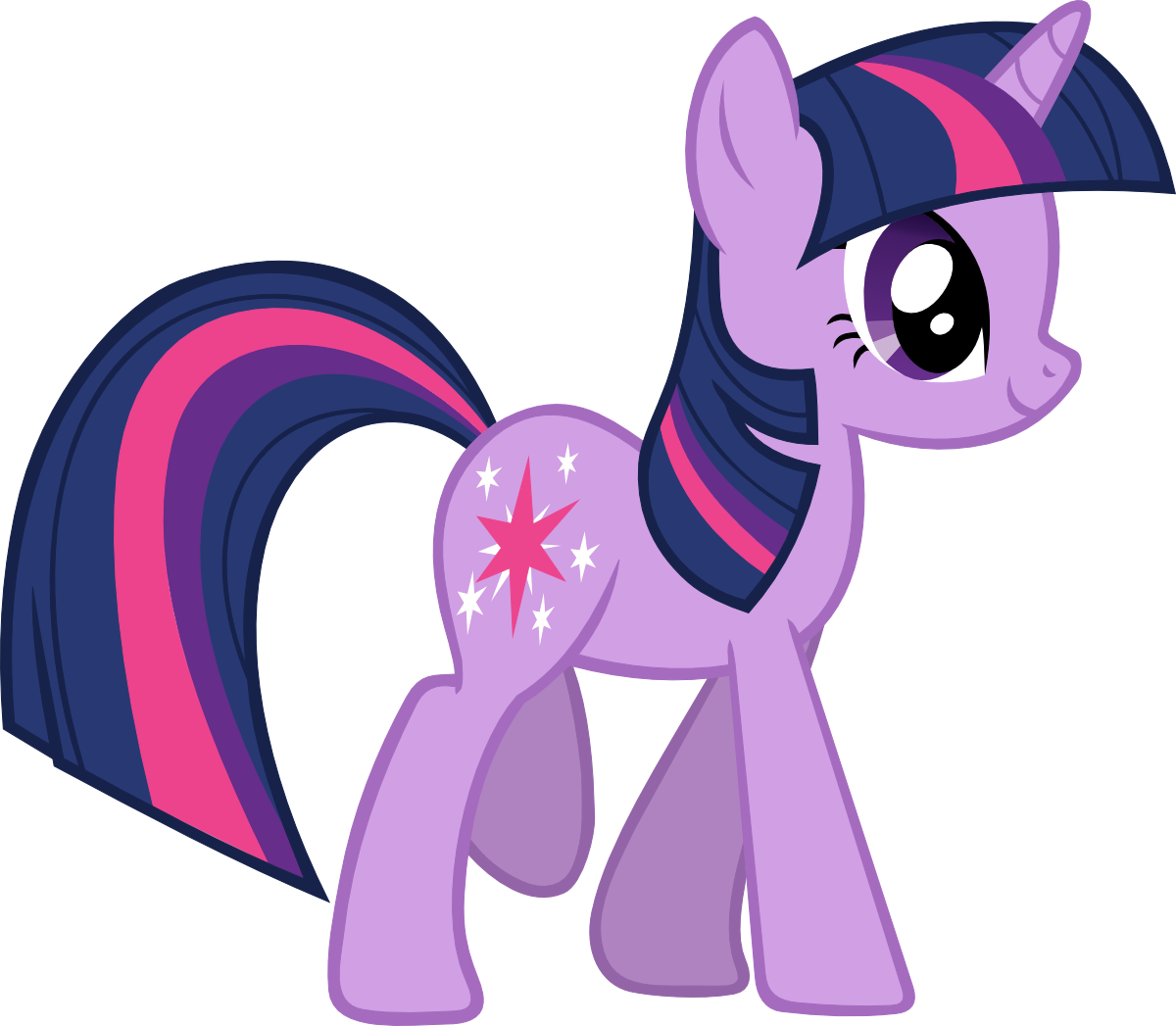 Profile Twilight Sparkle By Evilturnover Profile Twilight - Little Pony Friendship Is Magic (1200x1047)