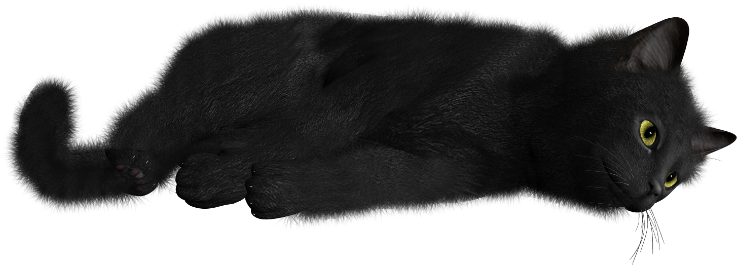 Black Cat Clipart Transparent - Cat (1600x1520)