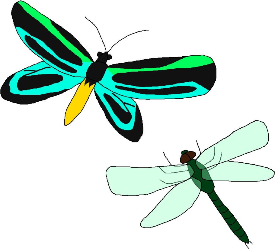 Giant Flying Bugs By Wildandnaturefan - Fly (932x857)
