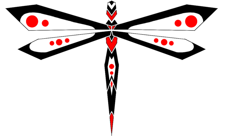 Dragonfly Rd By Mr-roth - Dragonfly (894x894)