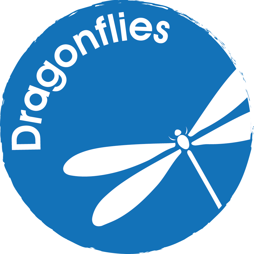 Dragonflies - Circle (1030x1032)