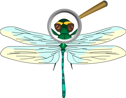 Below Is A Rendering Of The Page Up To The First Error - Net-winged Insects (505x463)