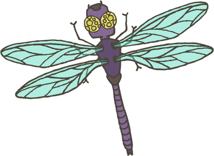 Bugs Is Here To Help Reach Your Dreams Of Smashing - Damselfly (705x515)