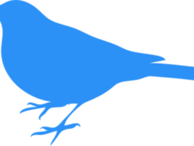 Baby Clipart Blue Bird - Bird Silhouette Clip Art (640x480)