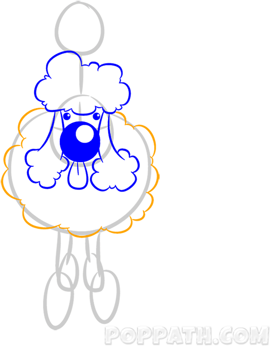 Poodles Have Excellent Intelligence Skills And They - Poodles Have Excellent Intelligence Skills And They (800x800)