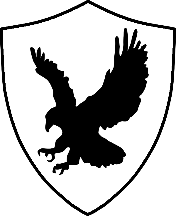 Bald Eagle Stencil Silhouette Clip Art - Black Bird Cleaner Logo (600x734)