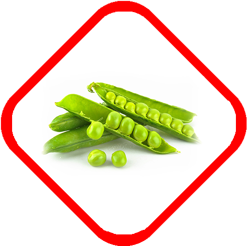 Ask For Your Personalized Flotation Washer Offer - Peas In Hindi (500x500)