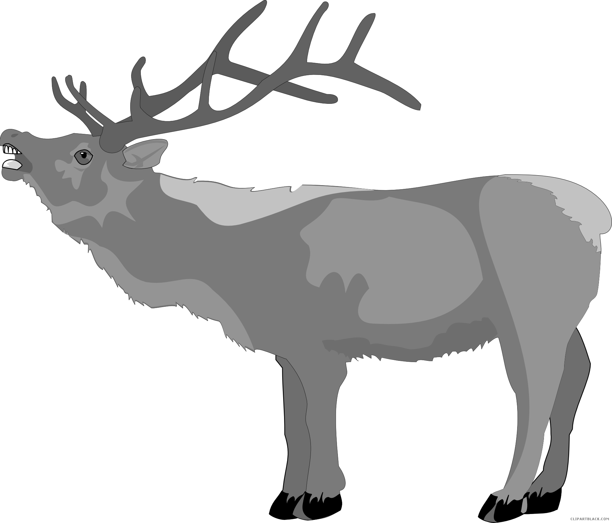 Christmas Reindeer Animal Free Black White Clipart - Deer (1969x1683)