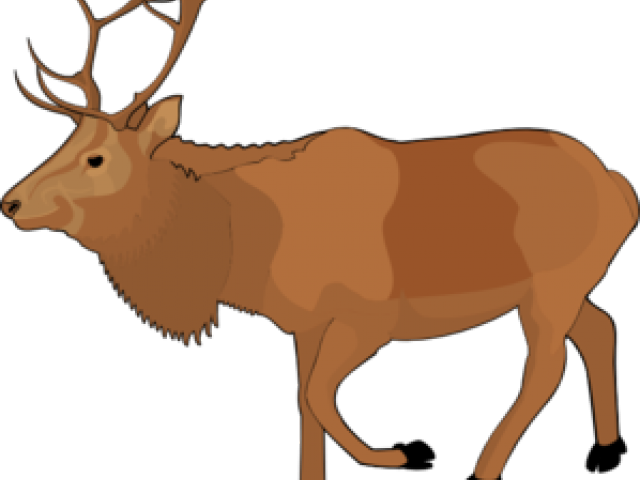 Free Clipart Reindeer - Animated Elk (640x480)