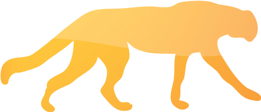 Web 2 Orange 2 Cheetah Icon - Black Panther Animal Outline (512x512)