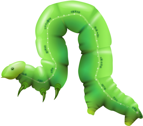 Caterpillar Png Clip Art - Caterpillar Illustration (500x440)