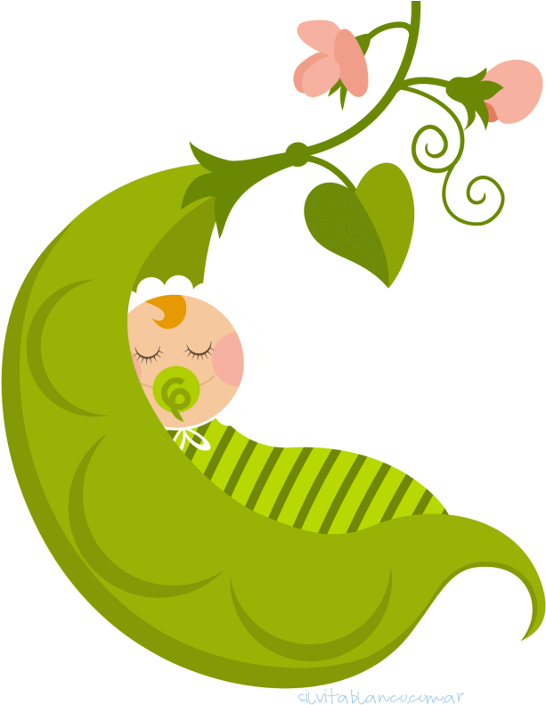 Bebê & Gestante - Baby In A Pea Pod (642x800)