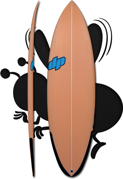 Dp Surfboards (485x620)