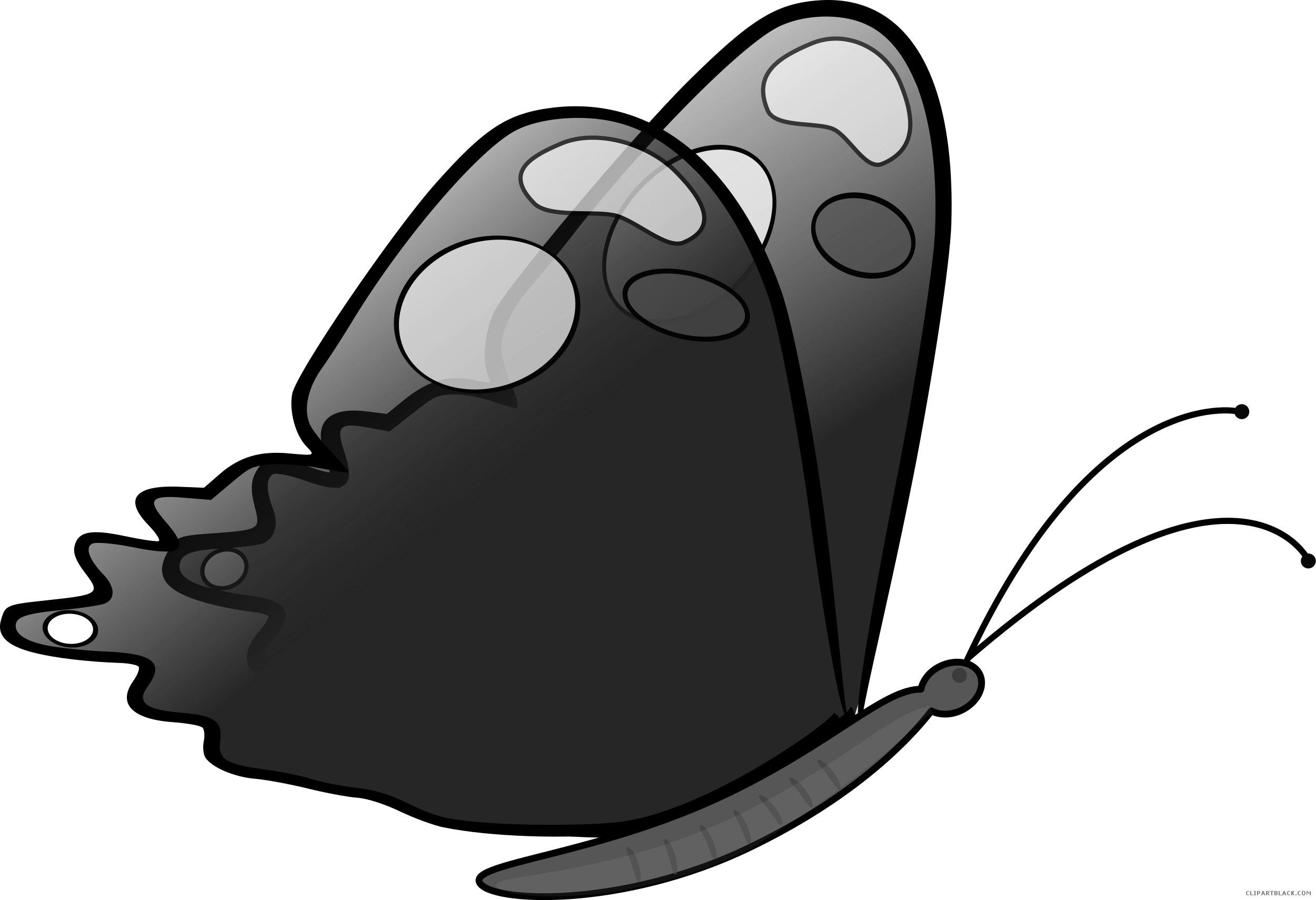 Grayscale Butterfly Animal Free Black White Clipart - Butterfly Clipart (2500x1709)