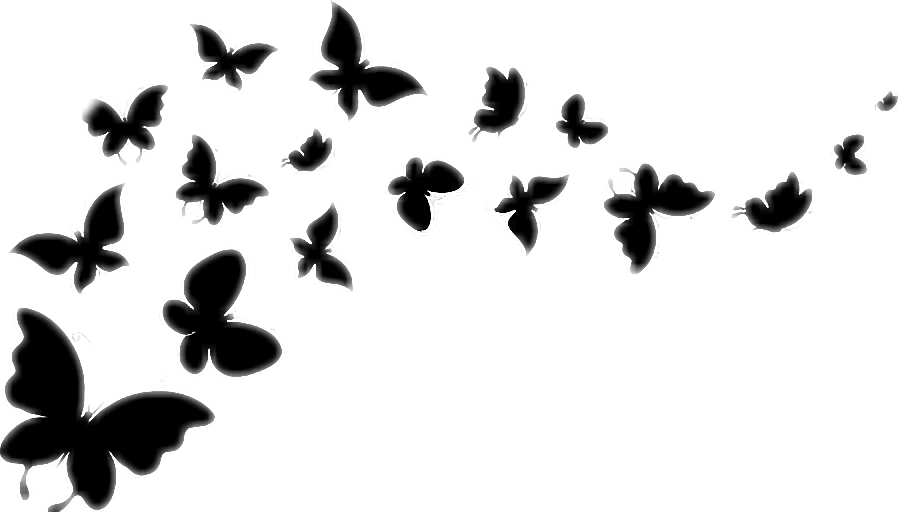 Butterfly Silhouette Blackandwhite Flying Butterflies - Butterflies Black And White Flying (898x512)