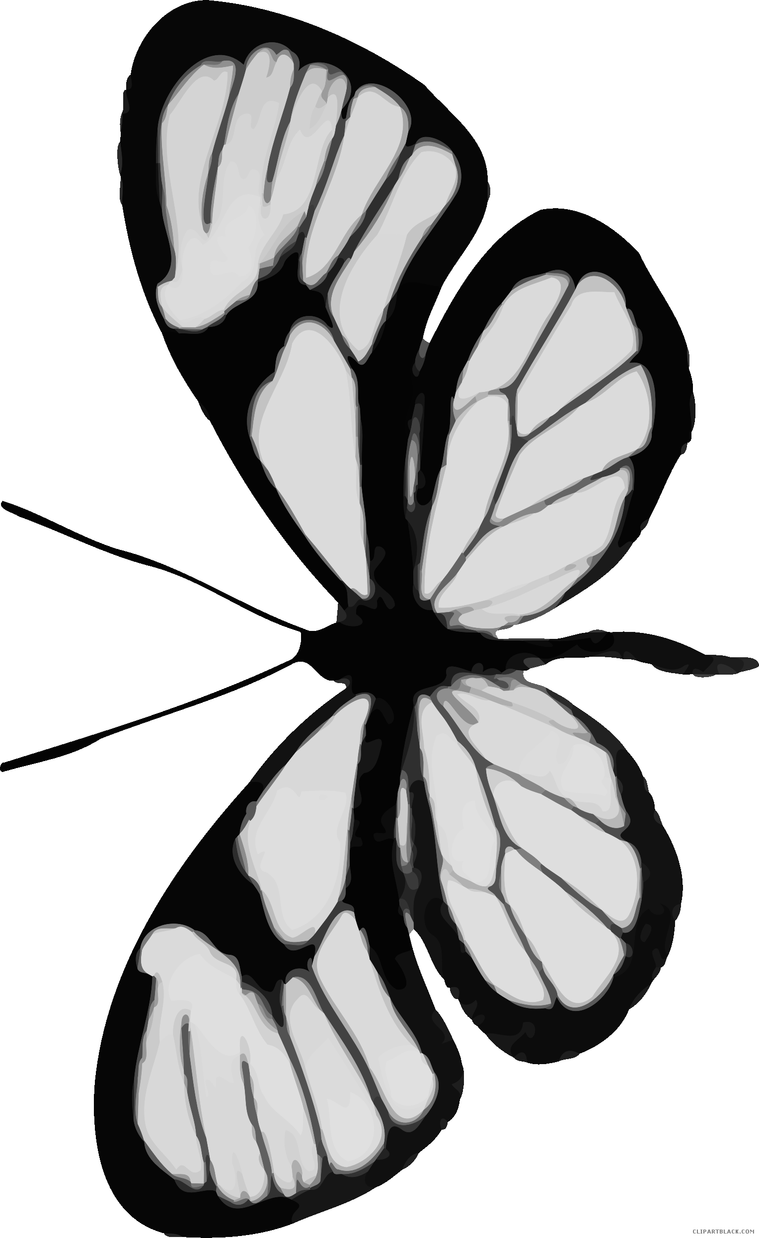 Grayscale Butterfly Animal Free Black White Clipart - Portable Network Graphics (1528x2492)