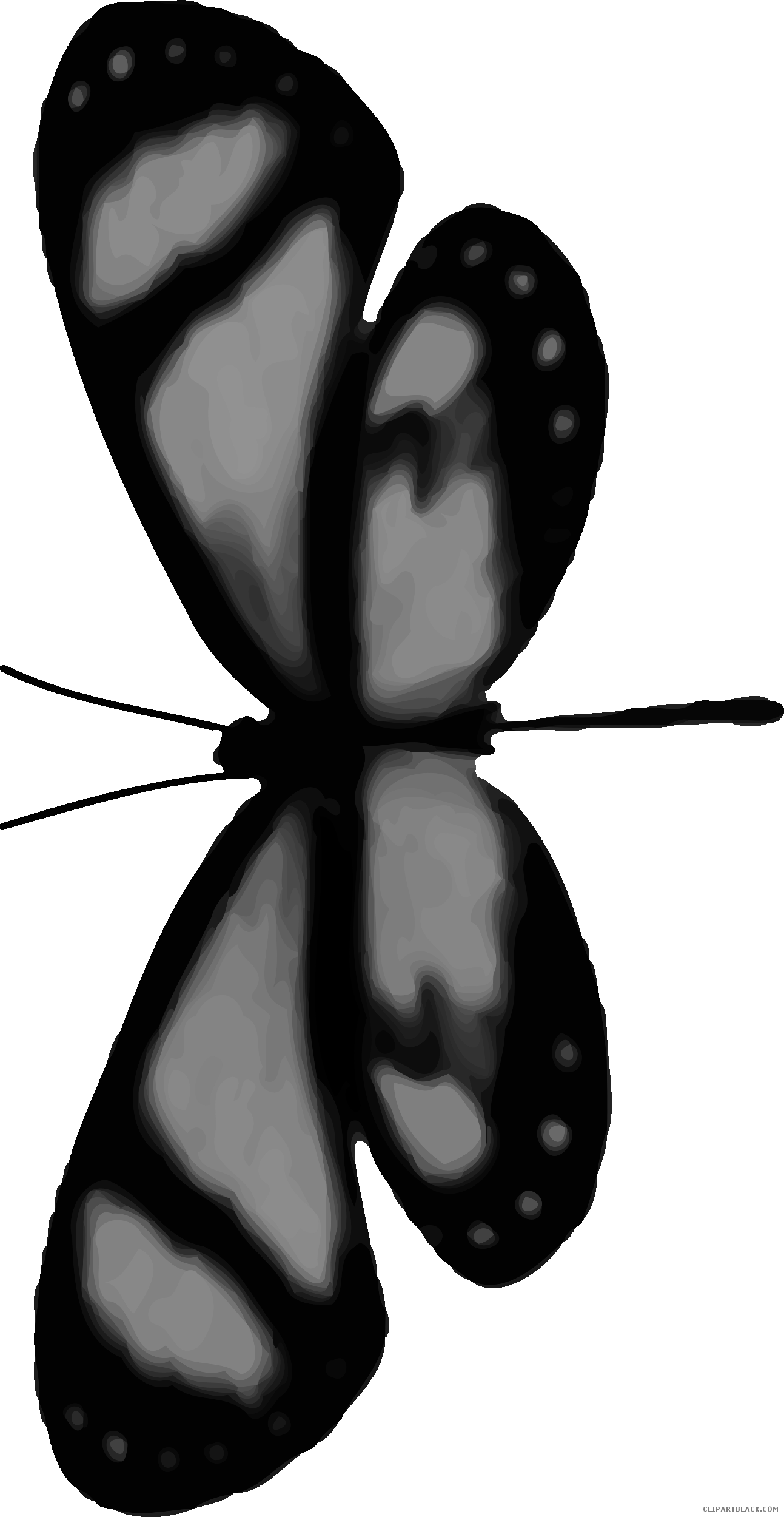 Grayscale Butterfly Animal Free Black White Clipart - Butterfly (1293x2500)