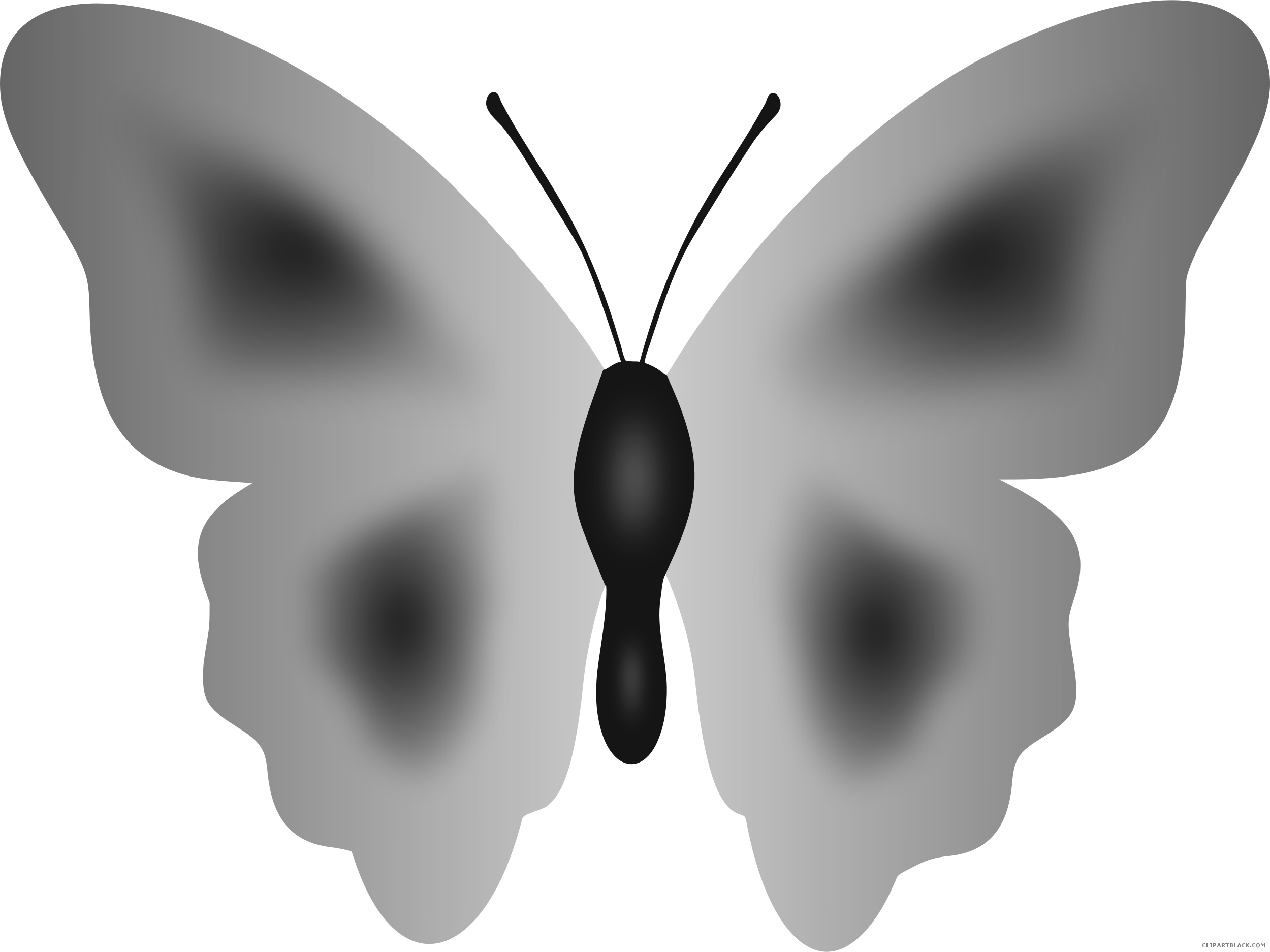 Grayscale Butterfly Animal Free Black White Clipart - Short-tailed Blue (2500x1874)