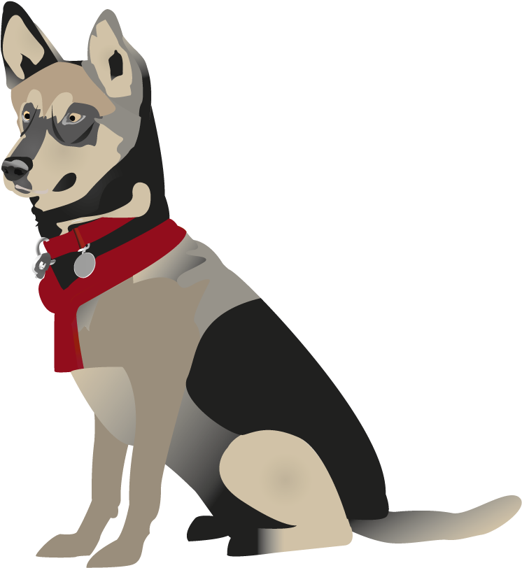 Graphic Design By Shark1906 For Turning Heads Kennel - Czechoslovakian Wolfdog (836x958)