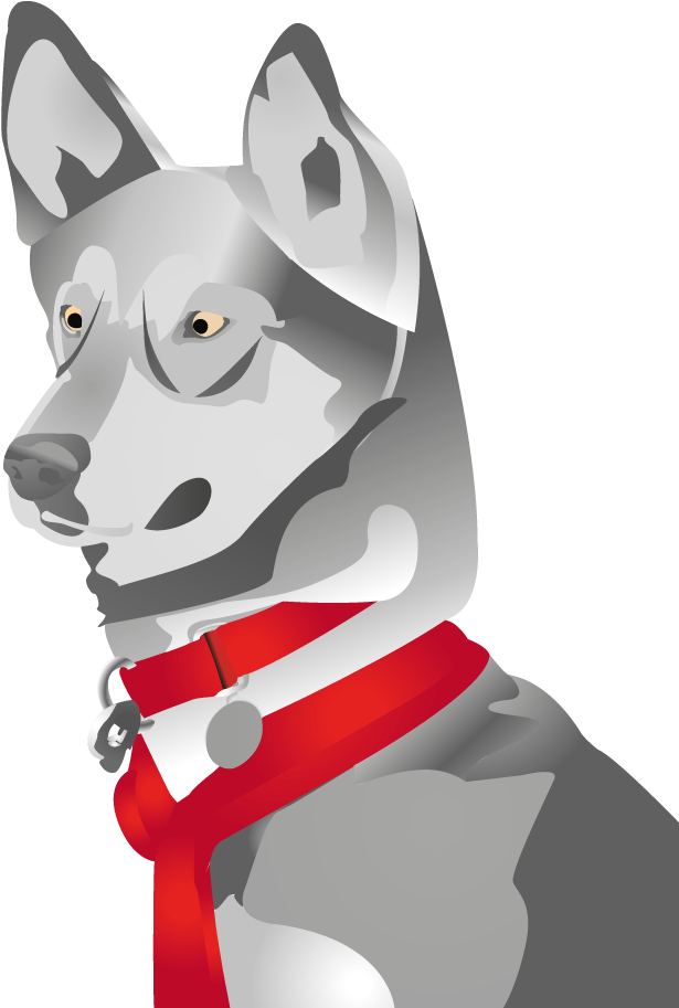 Graphic Design By Shark1906 For Turning Heads Kennel - Czechoslovakian Wolfdog (750x1000)