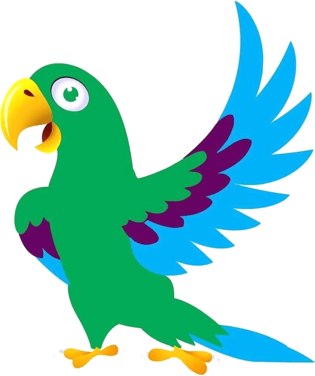 Rdm Parrots & Supplies Illawarra - Cartoon Images Of Birds (640x759)