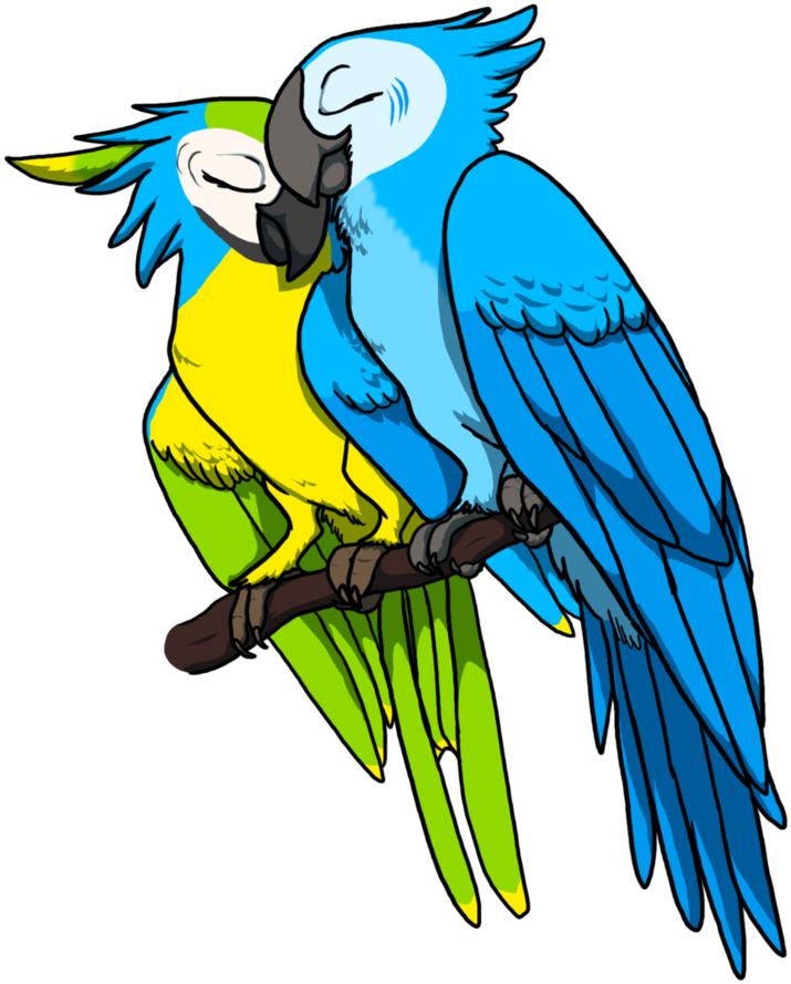 Atreh-rythulian By Dogthatkills - Macaw (843x948)