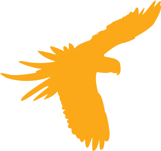 1 In 3 Species Are Under Threat - 1 In 3 Species Are Under Threat (580x572)