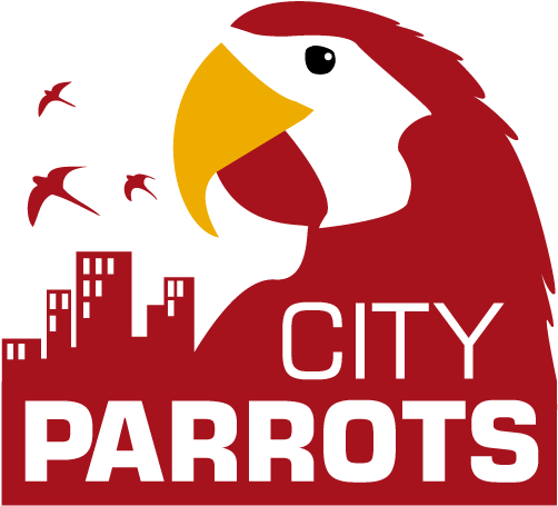 Parrot Clipart Mexican - Parrots (516x480)