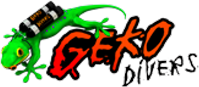 Geko Divers - Geko Divers (400x400)