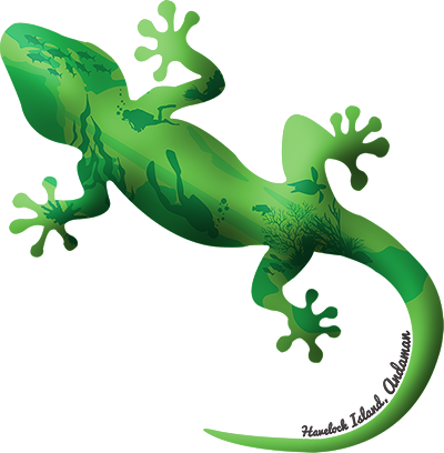 Emerald Gecko Havelock Island - Clip Art (400x408)