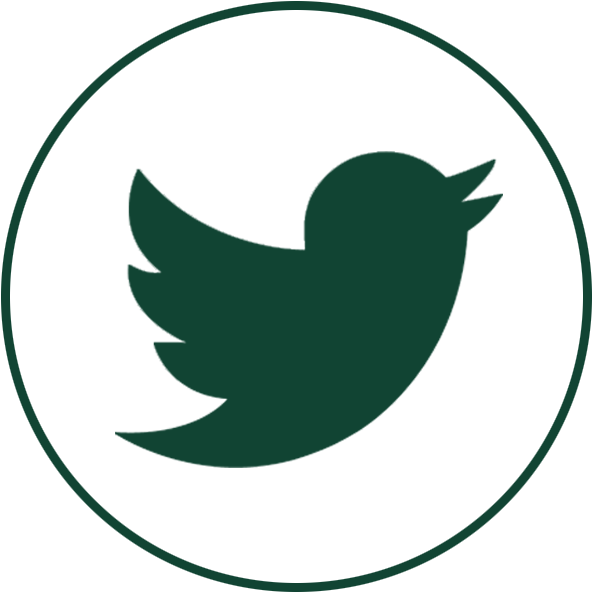 Twitter Icon Vector Png (600x600)