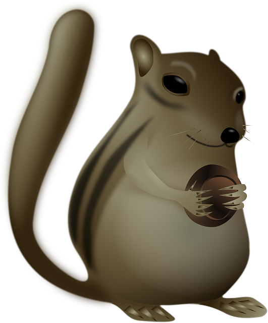 Brown Squirrel, Wildlife, Animal, Cute, Brown - Brown Flying Squirrel Transparent (531x640)