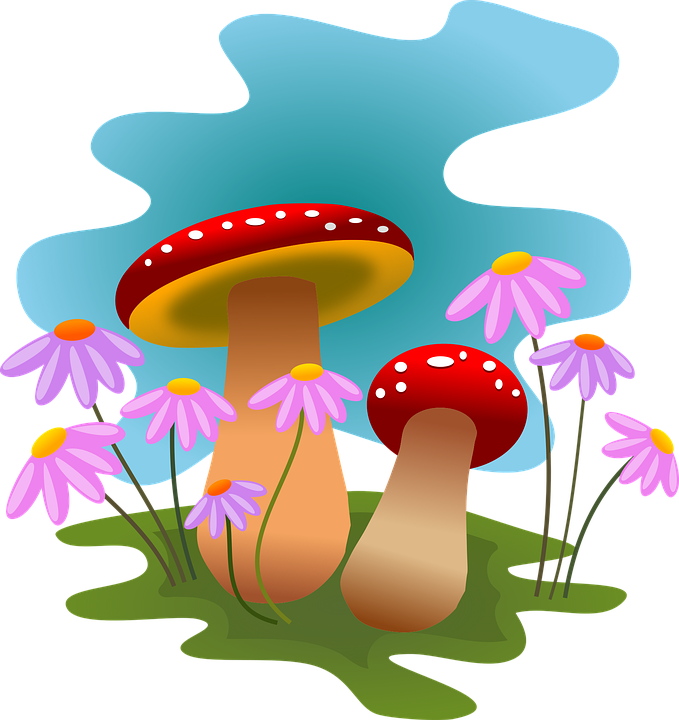 Mushrooms, Autumn, Fungi, Forest, Flowers, Nature - Mushrooms Can Clipart Png (679x720)