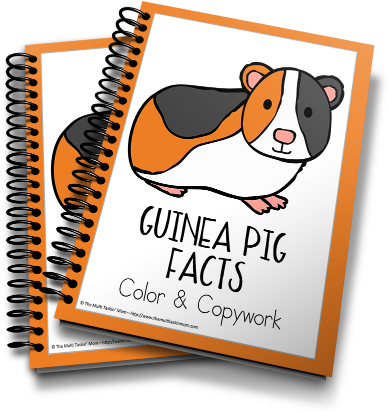 Guinea Pig - Captured Memories Workbook: Looking Back [book] (900x983)