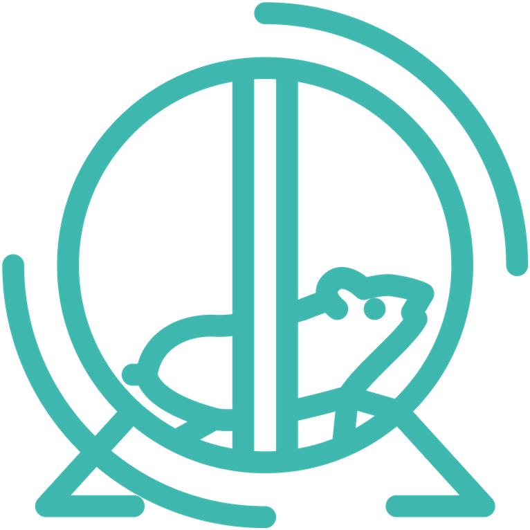 Welcome To The Guinea Pig & Hamster Community, Where - Hamster (800x800)