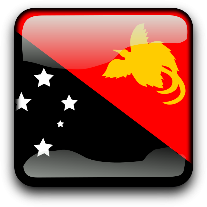 Guinea - Clipart - Papua New Guinea Flag (900x900)