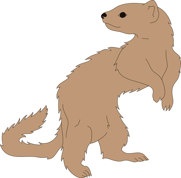 Clip Art Ferret (600x588)