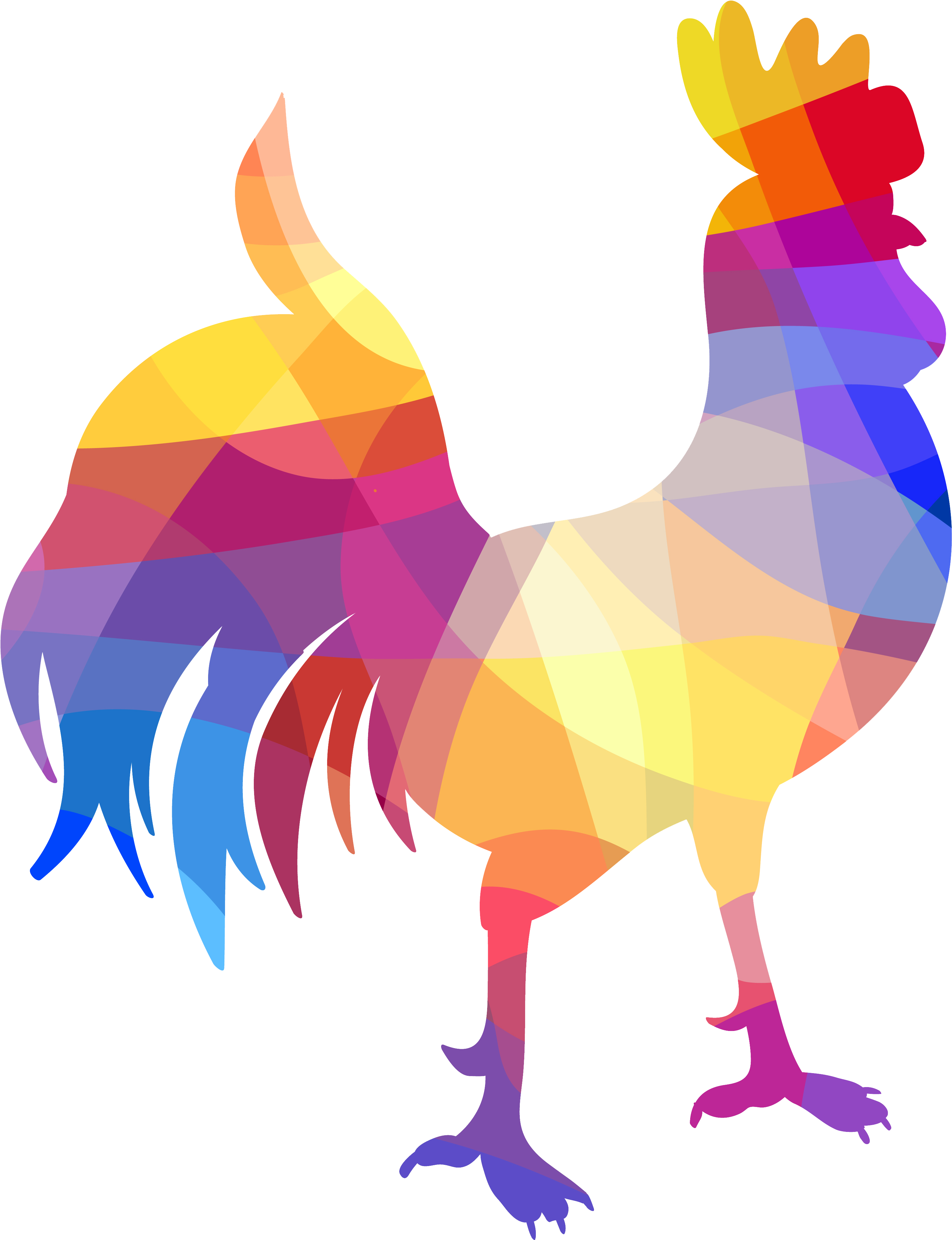 Rooster Geometry Geometric Shape - Geometry (5000x5000)