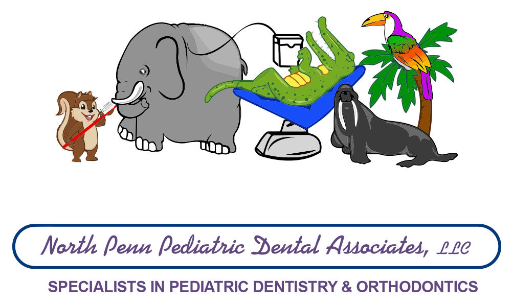 North Penn Pediatric Dental Associates (1040x600)
