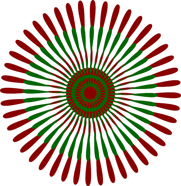 Star, Figure, Flower, Round, Geometric - Red And Green Flower (624x640)