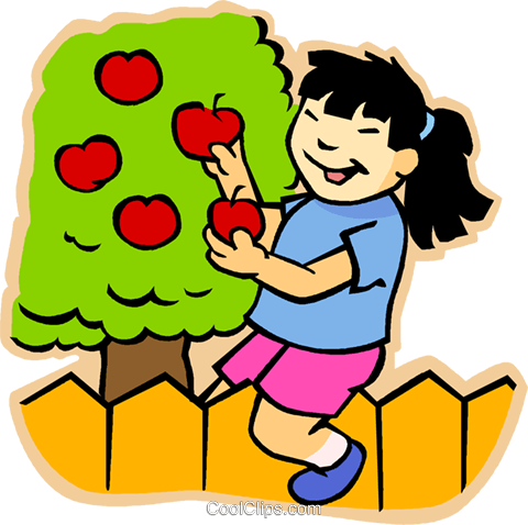 Girl Picking Apples Royalty Free Vector Clip Art Illustration - Pick Apples Clip Art (480x478)