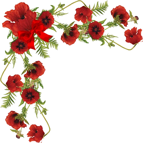 Flower Bordersart - Oriental Poppy (489x498)