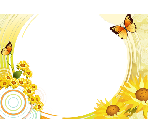 Sunflower Border Photo Frame Png Image - Molduras Flores Amarelas Png (500x450)