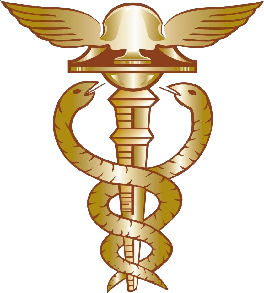 Priscilla Werneck Motta - Accounting (1239x1002)