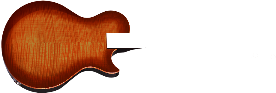 Soloiicstm - Electric Guitar (960x411)