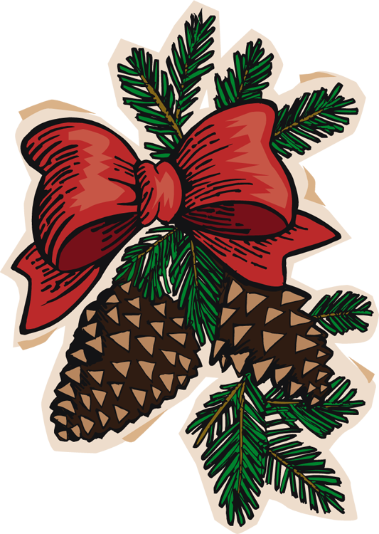 Clip - Art - Pine - Cone - Christmas Pine Cones (533x750)