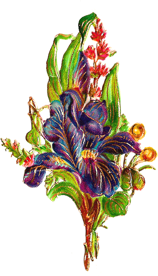 Despite The Distressed Look Of This Flower Clip Art, - Bouquet (796x1236)