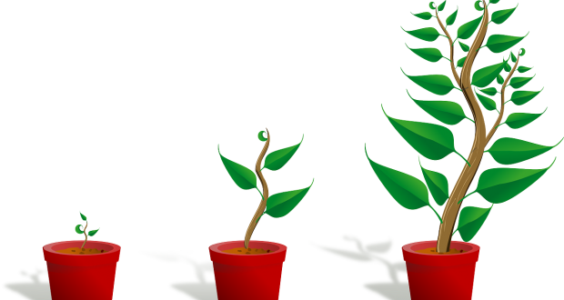 It's Time To Change [video] - Getting To Know Plants (620x330)